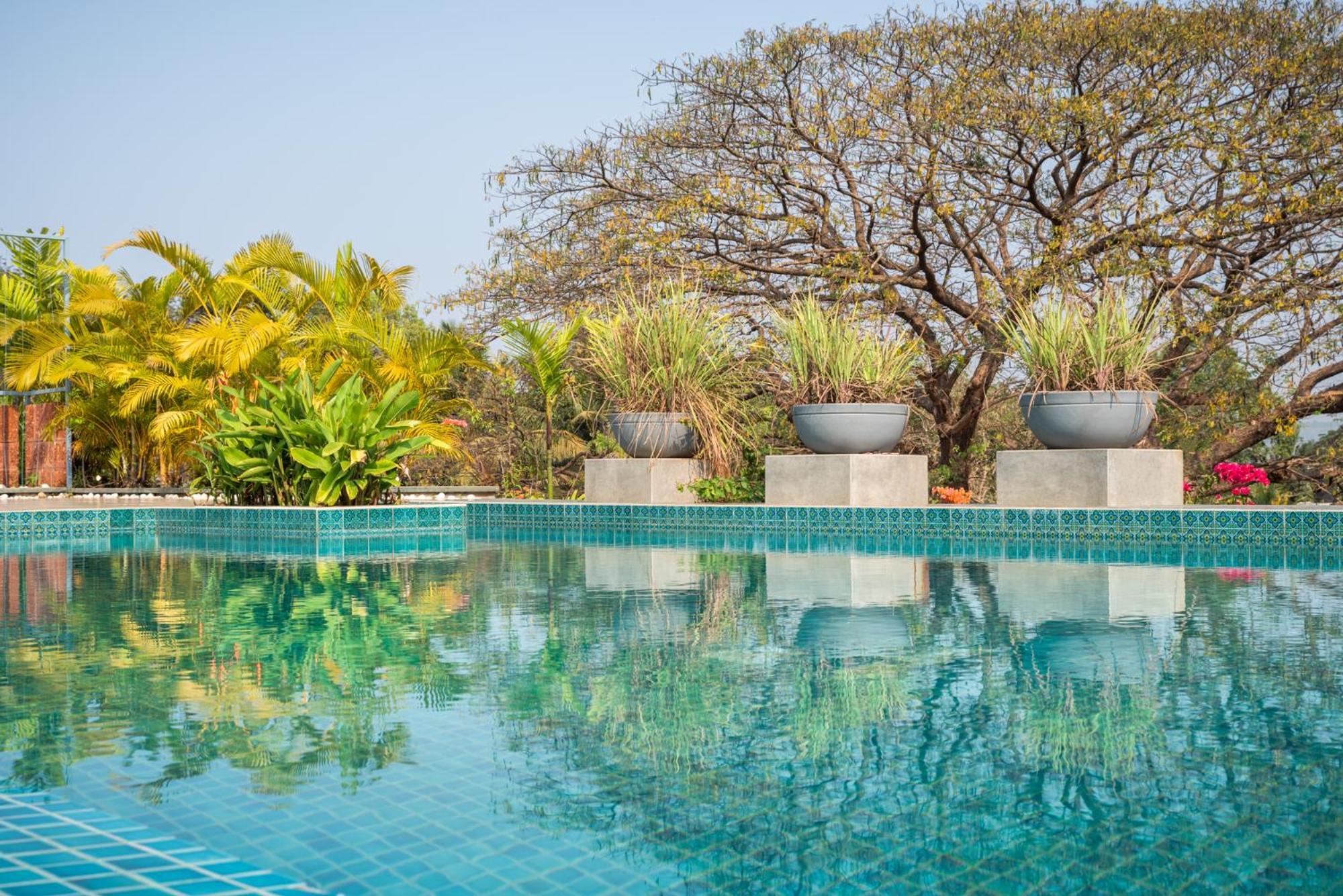 El - Arbol Apartments パナジ エクステリア 写真