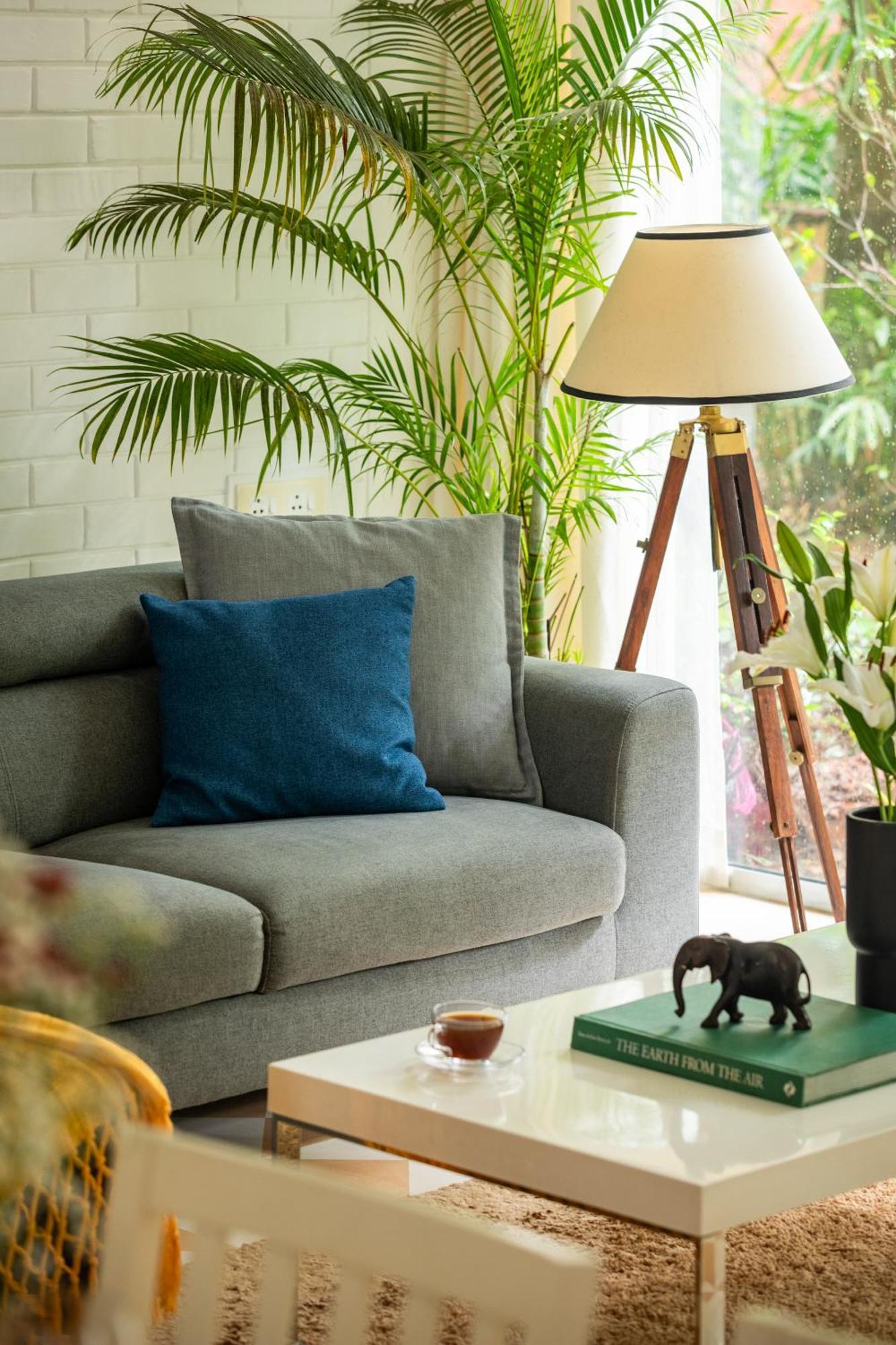 El - Arbol Apartments パナジ エクステリア 写真